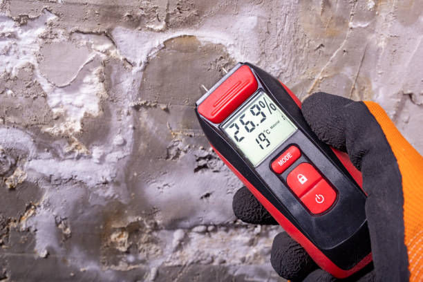 Best Emergency Mold Removal  in Severna Park, MD