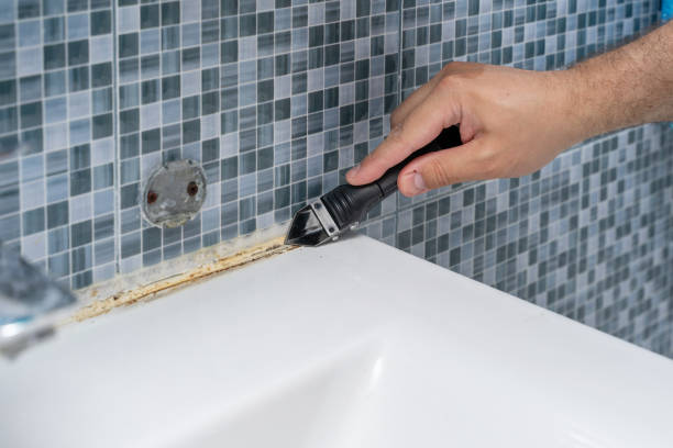 Best Mold Testing and Removal  in Severna Park, MD