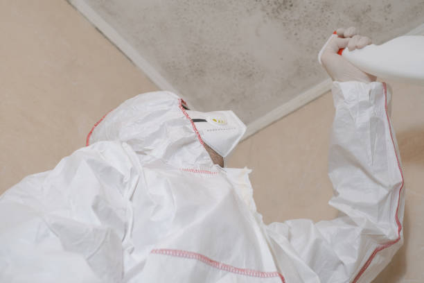 Best Emergency Mold Removal  in Severna Park, MD